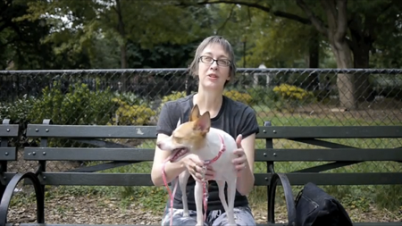 Dog Walking Insurance Nyc Dog Walking Insurance Nyc